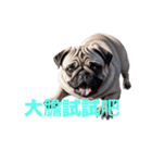 パグ C（個別スタンプ：15）