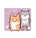 コーギーと柴犬！（個別スタンプ：1）
