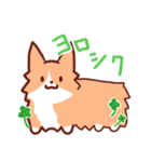 コーギーと柴犬！（個別スタンプ：4）