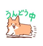 コーギーと柴犬！（個別スタンプ：8）