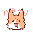 コーギーと柴犬！（個別スタンプ：12）