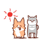 コーギーと柴犬！（個別スタンプ：22）
