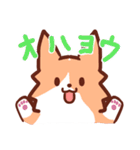 コーギーと柴犬！（個別スタンプ：23）