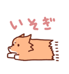 コーギーと柴犬！（個別スタンプ：29）