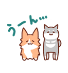 コーギーと柴犬！（個別スタンプ：36）