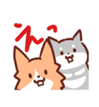 コーギーと柴犬！（個別スタンプ：37）