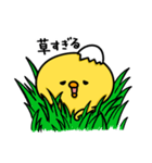 まいにちひよっこギャル（個別スタンプ：15）