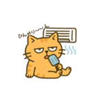 だってねこだもの 猫の夏休み編（個別スタンプ：5）