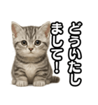 日常会話verマンチカンの子猫（個別スタンプ：10）