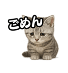 日常会話verマンチカンの子猫（個別スタンプ：11）