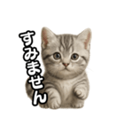 日常会話verマンチカンの子猫（個別スタンプ：13）