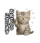 日常会話verマンチカンの子猫（個別スタンプ：15）