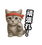 日常会話verマンチカンの子猫（個別スタンプ：16）
