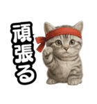 日常会話verマンチカンの子猫（個別スタンプ：17）