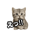 日常会話verマンチカンの子猫（個別スタンプ：21）