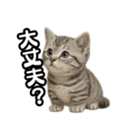 日常会話verマンチカンの子猫（個別スタンプ：22）
