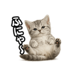 日常会話verマンチカンの子猫（個別スタンプ：27）