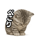 日常会話verマンチカンの子猫（個別スタンプ：28）