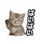 日常会話verマンチカンの子猫（個別スタンプ：31）