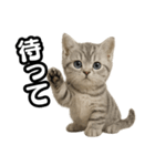 日常会話verマンチカンの子猫（個別スタンプ：35）
