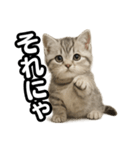 日常会話verマンチカンの子猫（個別スタンプ：40）