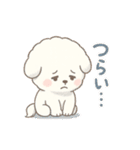 ふわもこビションの感情スタンプ（個別スタンプ：19）