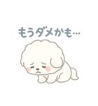 ふわもこビションの感情スタンプ（個別スタンプ：21）