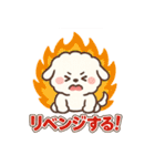ふわもこビションの感情スタンプ（個別スタンプ：40）