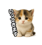 日常会話verマンチカンの子猫3（個別スタンプ：6）