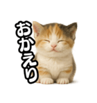 日常会話verマンチカンの子猫3（個別スタンプ：8）