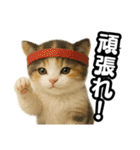 日常会話verマンチカンの子猫3（個別スタンプ：16）