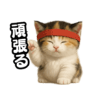 日常会話verマンチカンの子猫3（個別スタンプ：17）