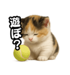 日常会話verマンチカンの子猫3（個別スタンプ：18）
