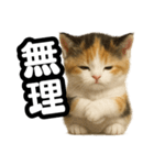 日常会話verマンチカンの子猫3（個別スタンプ：19）