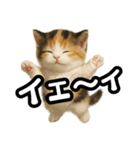日常会話verマンチカンの子猫3（個別スタンプ：20）