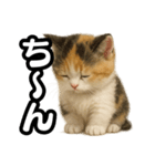 日常会話verマンチカンの子猫3（個別スタンプ：24）