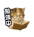 日常会話verマンチカンの子猫3（個別スタンプ：26）