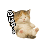 日常会話verマンチカンの子猫3（個別スタンプ：27）
