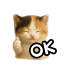 日常会話verマンチカンの子猫3（個別スタンプ：37）
