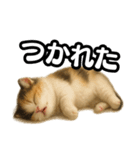日常会話verマンチカンの子猫3（個別スタンプ：38）
