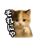 日常会話verマンチカンの子猫3（個別スタンプ：40）