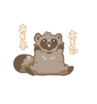 たぬきのたぬ にちじょうのまき（個別スタンプ：27）