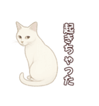 シロクロ育児日記（個別スタンプ：22）