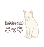 シロクロ育児日記（個別スタンプ：23）