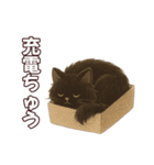 シロクロ育児日記（個別スタンプ：27）