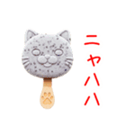 アイスキャンデーの猫、カキーンと一言（個別スタンプ：15）