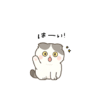 まんまるスコちゃん3（個別スタンプ：1）