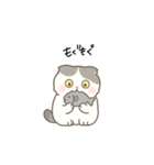 まんまるスコちゃん3（個別スタンプ：5）