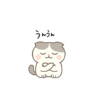 まんまるスコちゃん3（個別スタンプ：8）