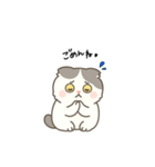 まんまるスコちゃん3（個別スタンプ：10）